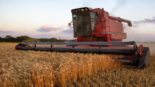 U.S. Farm Bankruptcies Spike